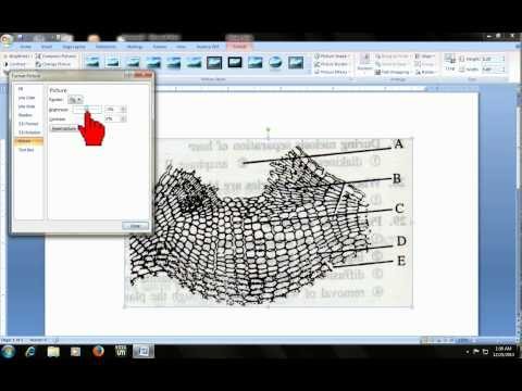 How to make image/picture clear and clean How to make image/picture clear and clean