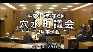 平成30年第6回穴水町議会定例会　一般質問