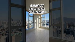 이게 바로 시티뷰의 정석! (루카831 전용16평)