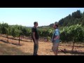 a visit to soquel vineyards in the santa cruz mountains