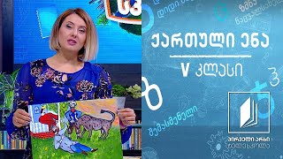 ქართული, V კლასი - დათუნა გოცირიძე #ტელესკოლა