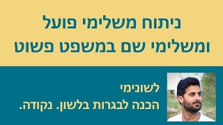 ניתוח משלימי פועל ומשלימי שם במשפט פשוט!