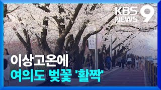 여의도 벚꽃 ‘활짝’…주말에도 초여름 날씨 [9시 뉴스] / KBS  2023.03.31.