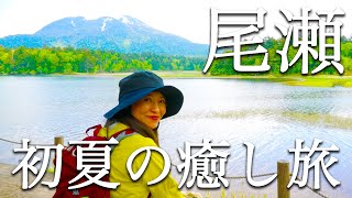 【尾瀬夜行】登山ユーチューバーかほさんと尾瀬夜行に乗ってみた③最終回。尾瀬沼から桧枝岐村へ。癒されました【尾瀬ハイキング】