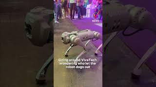 Who let the robot dogs out? 🐶 @unitreerobitics B1 spotted roaming around #VivaTech 🐩