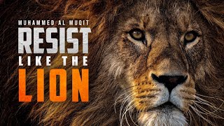 REISIT LIKE A LION : BEST NASHEED EVER :MUHAMMED AL MUQIT