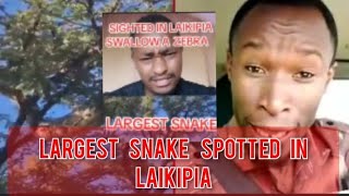 Breaking news:EXTREMELY LARGE SNAKE SPOTTED  IN LAIKIPIA