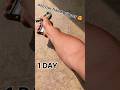 Use Hand Gripper 1 Day 1000 Reps #youtubeshorts #viral #shortvideo