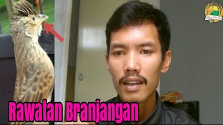 Proses rawatan branjangan