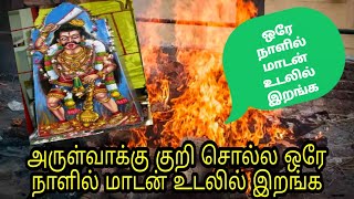 ஒரே நாளில் மாடன் உடலில் இறங்க | சுடலை மாடன் | அருள்வாக்கு | குறி | மாந்திரீகம் | arulvakku | kuri