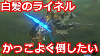 [ゼルダの伝説]白髪のライネルをかっこよく倒したい