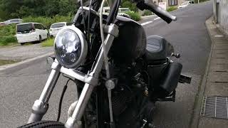 ハーレーダビッドソン スポーツスター Harley Davidson Sportster XL1200R 2006 キャブ最終 #3