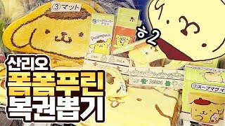 내 노랗게 타오르는 욕망의 집합체🔥산리오 💛폼폼푸린 신상 쿠지 뽑기!💛