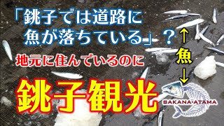 その９【銚子】本州最東端。道に魚が落ちている街。20210307