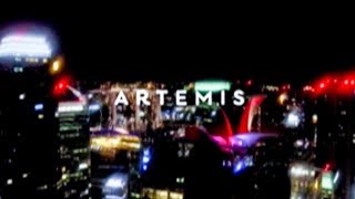 Artemis Grill : Mediterranean cuisine at its best