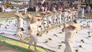 [제58회 한국민속예술축제] 대전 - 숯뱅이두레 (2017.09.24,일)