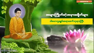 အများကြိုက်တဲ့ အမှားစရိုက်များ တရားတော်