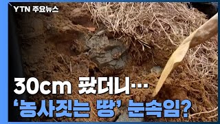 30cm 팠더니 돌 바닥...'농사짓는 땅' 눈속임 의구심 / YTN