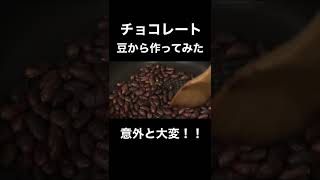 チョコレート豆から作ったら日が暮れました#shorts