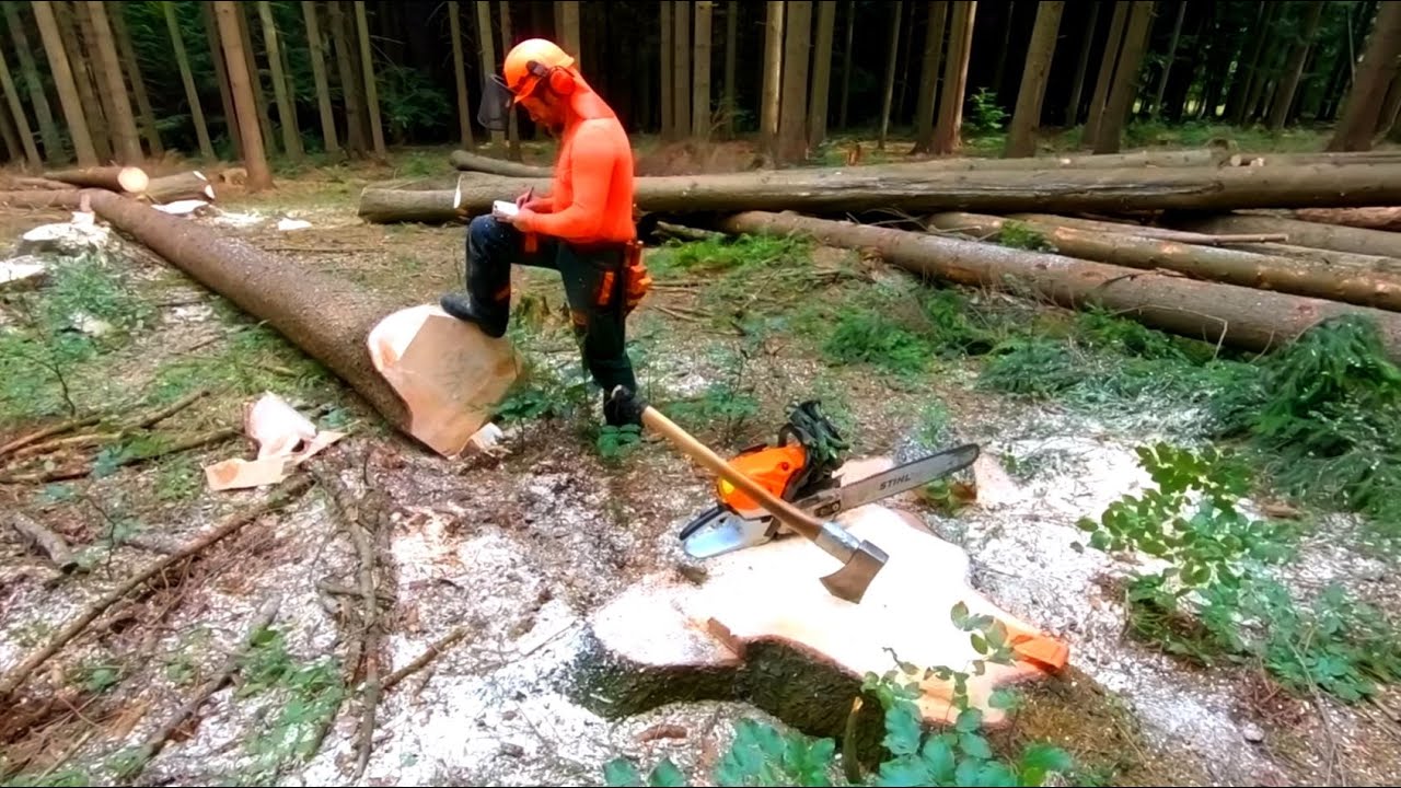 Professional With Stihl MS 462 - YouTube