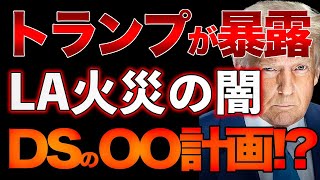 LA火災の真相！？バイデンのOO計画とは！？アメリカは実験場! 【過去動画】山口×長尾×吉田