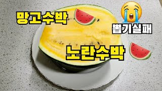 노란수박 맛보기(Mango Watermelon)