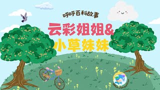 2024 呼呼百科故事：云彩姐姐和小草妹妹｜Best Child Story｜动画百科故事｜Children Education｜儿童动画｜科学百科故事｜儿童睡前故事｜By HuhuStorytime