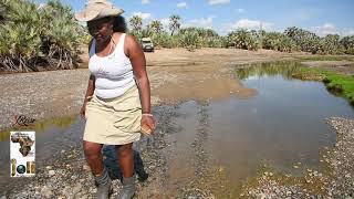 CHALBI DESERT AND OASIS  #filmsolutionstudios #wetourwithstyle #safariafrica