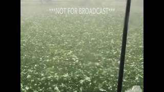 07-21-2017 Schaumburg, IL - Dangerous Hail