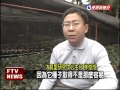 牛樟木盜伐猖獗 林業所復育民視新聞