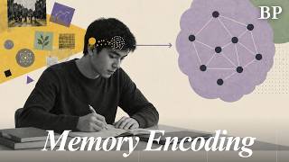 Memory Encoding - Types of Memory Encoding and Factors Negatively impacting Memory Encoding