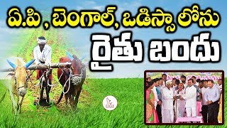 దేశం అన్ని చోట్లలో రైతు బందు పథకాలు | CM KCR best GOVT Schemes | Eagle Media Works