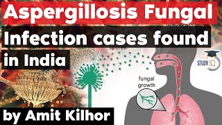 Aspergillosis Fungal Infection cases found in India - Deadlier than Black, White & Yellow fungus?