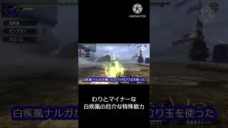 【ＭＨＸＸ】白疾風ナルガの厄介すぎる仕様