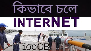 কিভাবে কাজ করে ইন্টারনেট?কে এই ইন্টারনেটের আসল মালিক?How Does The Internet Works?