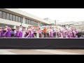 4k 堺・とうき連　堺よさこいかえる祭り 2019