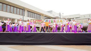 [4K] 堺・とうき連　堺よさこいかえる祭り 2019