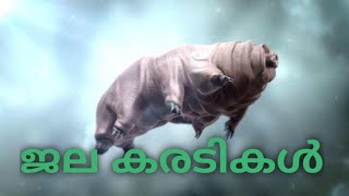 ജല കരടികൾ, ലോകത്തിലെ ഏറ്റവും കരുത്തരായ ജീവി വർഗ്ഗം #Tardigrades