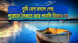 তুমি বেশ বদলে গেছ পুরোনো সৈকতে আর পানসি ভিড়াও না।