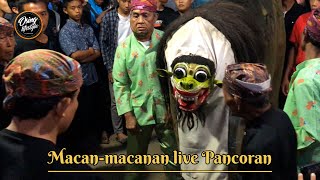 MACAN MACANAN BARONG KEMIREN || Live Pancoran