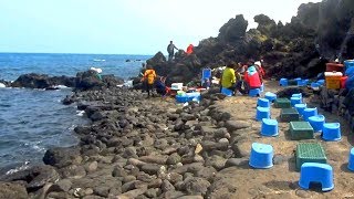 韓國濟州島龍頭巖(용두암)3/4現撈海鮮 Yongduam Rock, Jeju (South Korea)