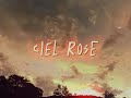 ATILI x DAVOJAH - CIEL ROSE (VISUALIZER)