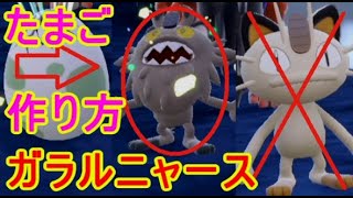 ポケモンSVガラルニャース生まれない卵の作り方ニャイキング【バイオレットスカーレット】