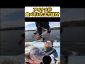 巨大アイナメが食べてたエサに驚愕 shorts fishing