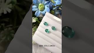 Emerald: 231 (2.28 Carat)