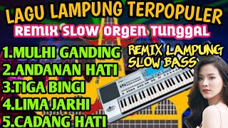 LAGU LAMPUNG TERPOPULER REMIX LAMPUNG SLOW BASS ORGEN TUNGGAL SPESIAL TAHUN BARU