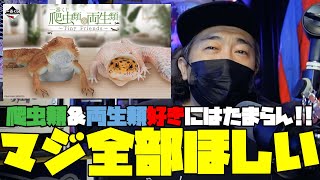 ※一番くじ※ 爬虫類＆両生類「我が家族のグッズは欲しい！！！」#一番くじ #開封動画