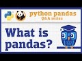 What is pandas? (Introduction to the Q&A series)