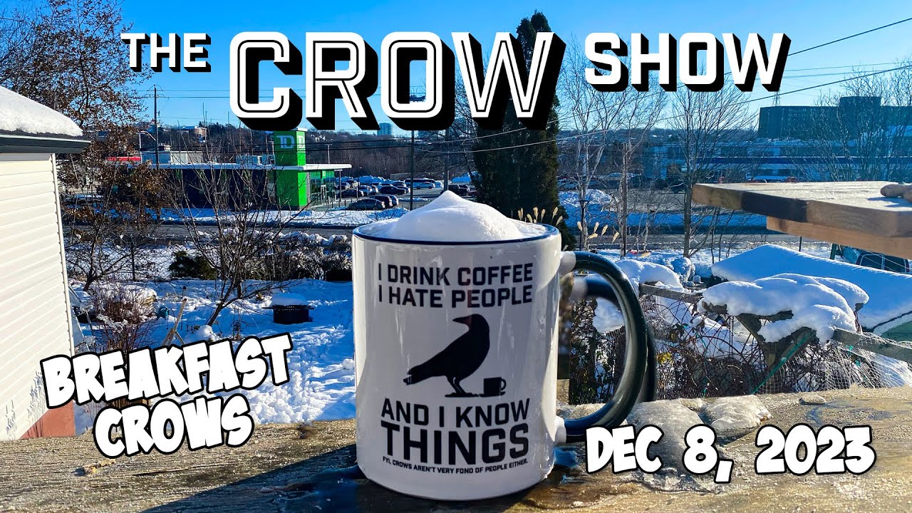Breakfast Crows Youtube