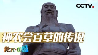 华夏之祖炎帝与罗霄山究竟有着怎样的历史渊源？神农谷又为何流传着神农尝百草的传说？20240517 探秘罗霄山2·远古神话 | CCTV科教《地理·中国》